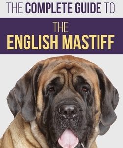 The Complete Guide to the English Mastiff: Finding, Training, Socializing, Feeding, Caring For, and Loving Your New Mastiff Puppy
