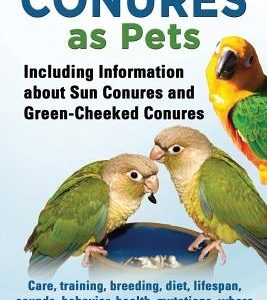 Conures as Pets - Including Information about Sun Conures and Green-Cheeked Conures