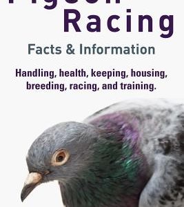 Pigeon Racing: Handling, health, keeping, housing, breeding, racing, and training. Facts & Information