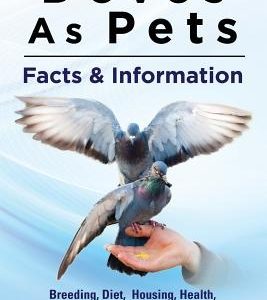 Doves As Pets: Breeding, Diet, Housing, Health, Where to Buy, Raising, and More. Facts & Information