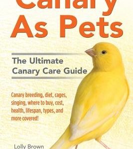 Canary As Pets: Canary breeding, diet, cages, singing, where to buy, cost, health, lifespan, types, and more covered! The Ultimate Can