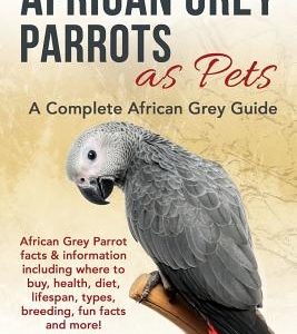 African Grey Parrots as Pets: African Grey Parrot facts & information including where to buy, health, diet, lifespan, types, breeding, fun facts and