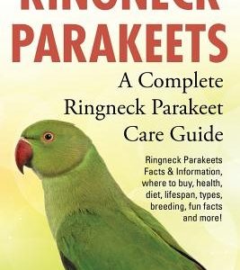 Ringneck Parakeets: Ringneck Parakeets Facts & Information, where to buy, health, diet, lifespan, types, breeding, fun facts and more! A C