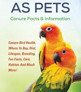 Conures as Pets: Conure Bird Health, Where To Buy, Diet, Lifespan, Breeding, Fun Facts, Care, Habitat, And Much More! Conure Facts & In