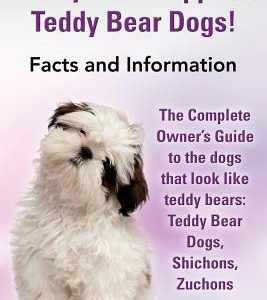 Teddy Bear Puppies, Teddy Bear Dogs! Facts and Information. the Complete Owner's Guide to the Dogs That Look Like Teddy Bears: Teddy Bear Dogs, Shicho