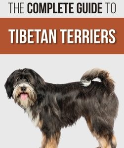 The Complete Guide to Tibetan Terriers: Locating, Selecting, Training, Feeding, Socializing, and Loving Your New Tibetan Terrier Puppy