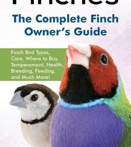 Finches: Finch Bird Types, Care, Where to Buy, Temperament, Health, Breeding, Feeding, and Much More! The Complete Finch Owner'