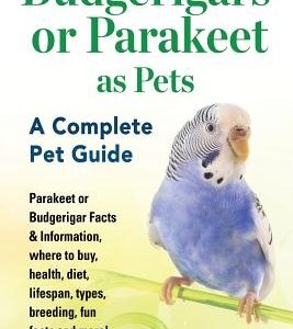 Budgerigars or Parakeet as Pets: Parakeet or Budgerigar Facts & Information, where to buy, health, diet, lifespan, types, breeding, fun facts and more