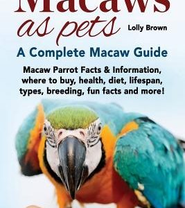 Macaws as Pets: Macaw Parrot Facts & Information, where to buy, health, diet, lifespan, types, breeding, fun facts and more! A Complet