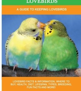 Lovebirds: A Guide To Keeping Lovebirds