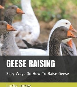 Geese Raising: Easy Ways On How To Raise Geese