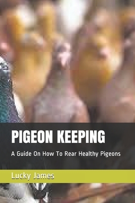 Pigeon Keeping: A Guide On How To Rear Healthy Pigeons