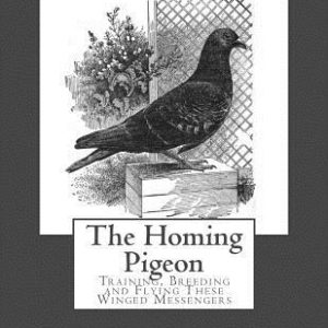 The Homing Pigeon: Training, Breeding and Flying These Winged Messengers