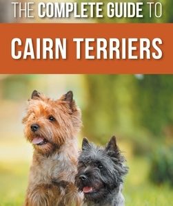 The Complete Guide to Cairn Terriers: Finding, Raising, Training, Socializing, Exercising, Feeding, and Loving Your New Cairn Terrier Puppy