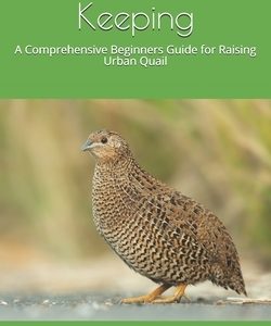 Domestic Quail Keeping: A Comprehensive Beginners Guide for Raising Urban Quail