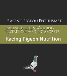 Racing Pigeon Winning Nutrition Feeding Secrets: Racing Pigeon Nutrition