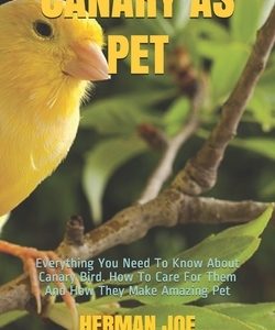 Canary as Pet: Everything You Need To Know About Canary Bird. How To Care For Them And How They Make Amazing Pet