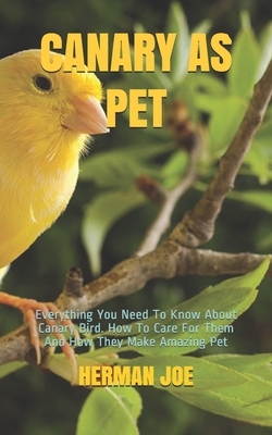 Canary as Pet: Everything You Need To Know About Canary Bird. How To Care For Them And How They Make Amazing Pet