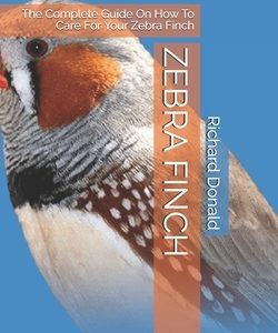 Zebra Finch: The Complete Guide On How To Care For Your Zebra Finch