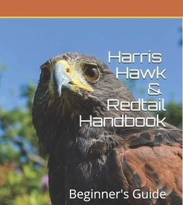 Harris Hawk & Redtail Handbook: Beginner's Guide