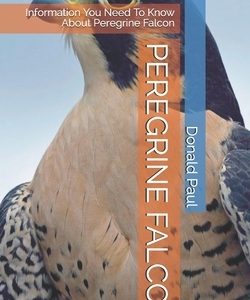 Peregrine Falcon: Information You Need To Know About Peregrine Falcon