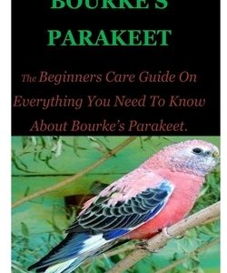 Bourke's Parakeet: The Beginners Care Guide On Everything You Need To Know About Bourke's Parakeet.