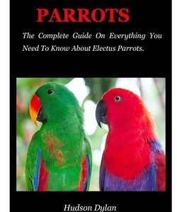 Electus Parrots: The Complete Guide On Everything You Need To Know About Electus Parrots.