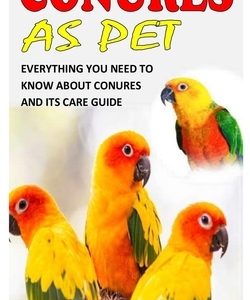 Conures as Pet: Everything You Need to Know about Conures and Its Care Guide