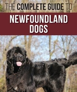The Complete Guide to Newfoundland Dogs: Successfully Finding, Raising, Training, and Loving Your Newfoundland Puppy or Rescue Dog