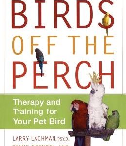 Birds Off the Perch: Therapy and Training for Your Pet Bird