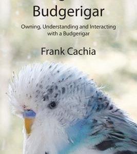 Living with a Budgerigar: Owning, Understanding and Interacting with a Budgerigar