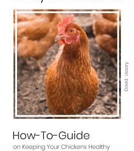 Backyard Chickens: How-To-Guide on Keepingyour Chickens Healthy + Amazing Chicken COOP Plans