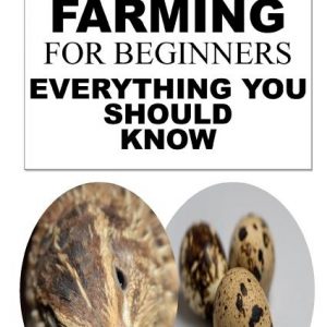 Quail Farming for Beginners: Everything You Should Know