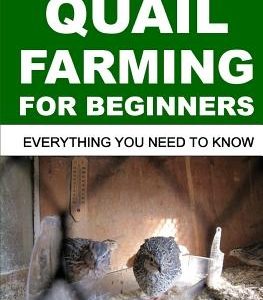 Quail Farming for Beginners: Everything You Need To Know