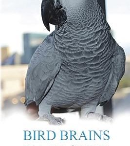 Bird Brains