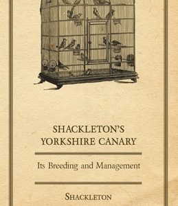 Shackleton's Yorkshire Canary - Its Breeding and Management
