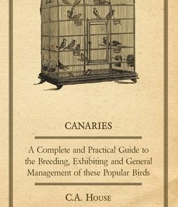 Canaries - A Complete and Practical Guide to the Breeding, Exhibiting and General Management of These Popular Birds