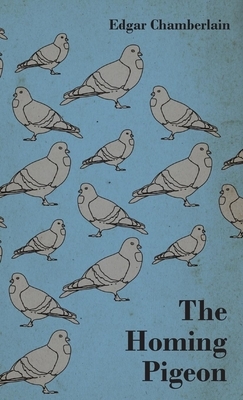 The Homing Pigeon