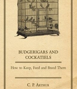 Budgerigars and Cockatiels - How to Keep, Feed and Breed Them