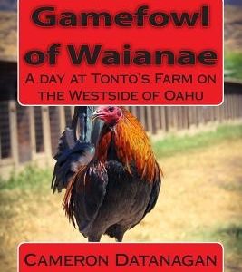 Gamefowl of Waianae: A day at Tonto's Farm on the Westside of Oahu