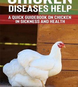 Chicken Diseases Help - A Quick Guidebook on Chicken in Sickness and Health