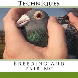 Racing Pigeons Advanced Techniques: Breeding and Pairing