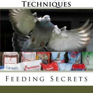 Racing Pigeons Advanced Techniques: Feeding Secrets