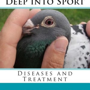 Pigeon Racing Deep into Sport: Diseases and Treatment