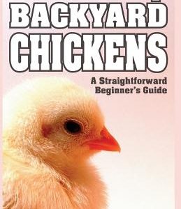 How to Keep Backyard Chickens - A Straightforward Beginner's Guide: (B&W Edition)