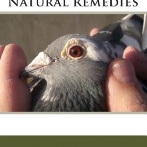 Racing Pigeons Natural Remedies