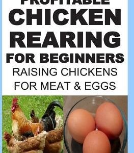 Profitable Chicken Rearing For Beginners: Raising Chickens For Meat And Eggs & Markets And Marketing Strategies