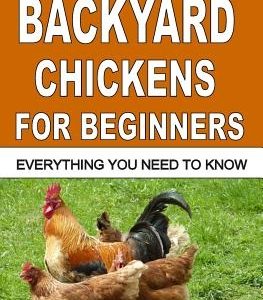 Backyard Chickens For Beginners: Everything You Need To Know