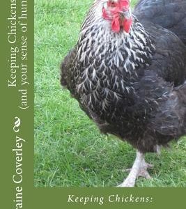 Keeping Chickens (and your sense of humour): : a beginner's guide