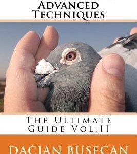 Racing Pigeons Advanced Techniques: The Ultimate Guide Vol. ll
